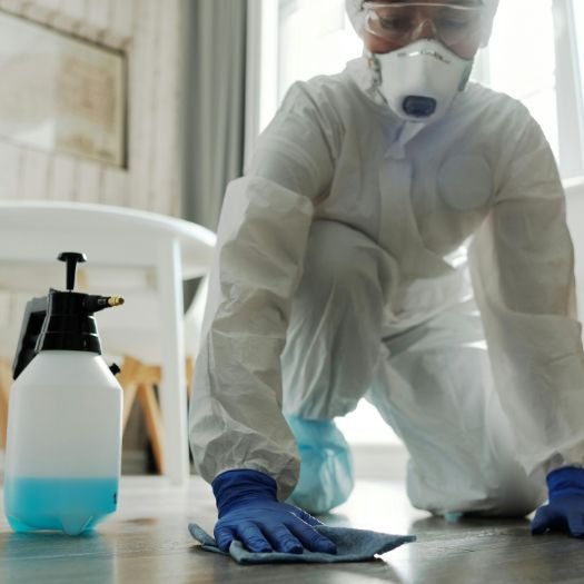 Sanitización y Desinfección (8)